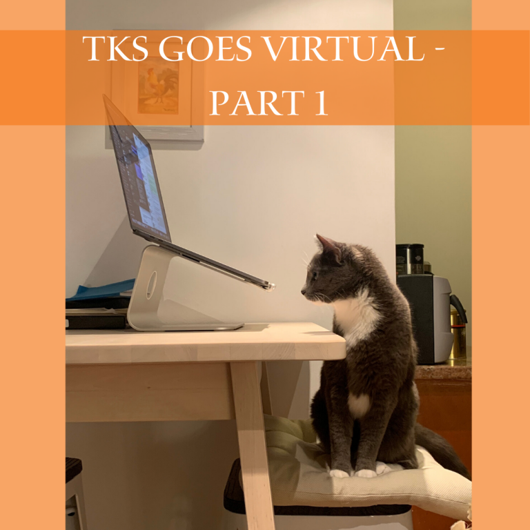 A cat sits joyfully on a chair at a desk, looking at a laptop. The image has an orange overlay with the text "TKS Goes Virtual - Part 1" at the top.